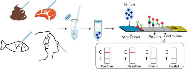 FIGURE 2