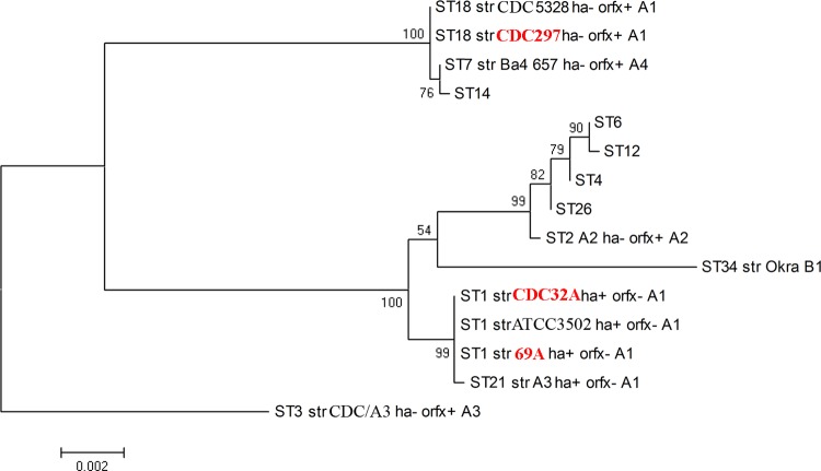 FIG 1