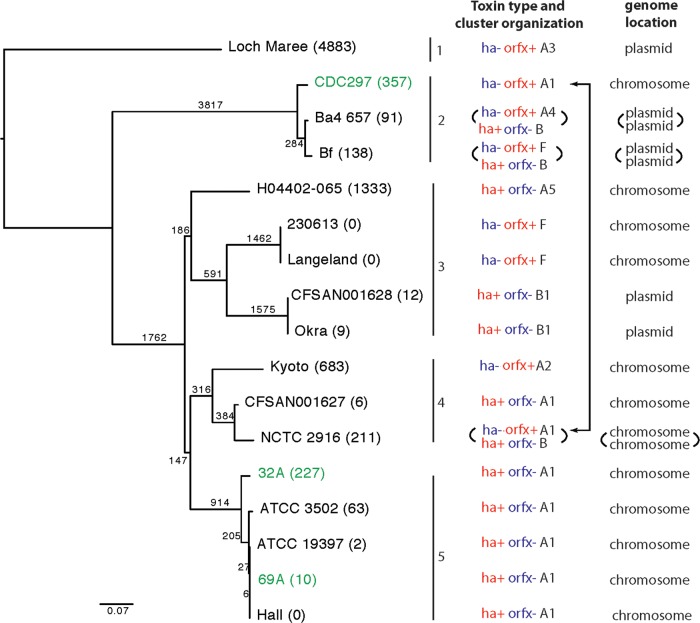 FIG 2