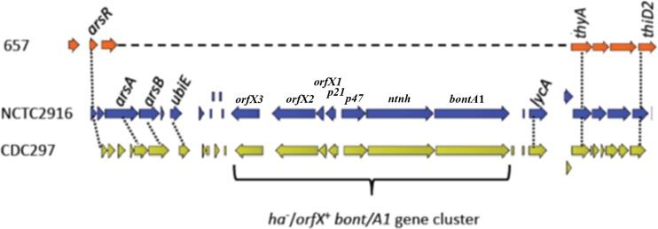 FIG 4