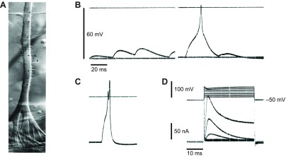 Fig. 3.