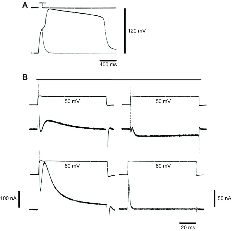 Fig. 2.