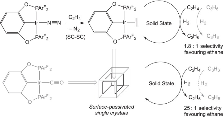 Scheme 23.