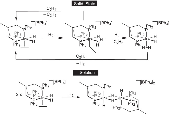 Scheme 19.