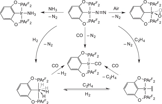 Scheme 9.