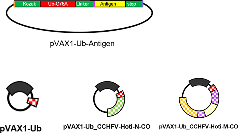 Extended Data Fig. 7