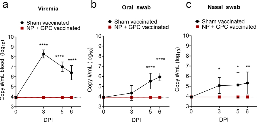 Figure 4: