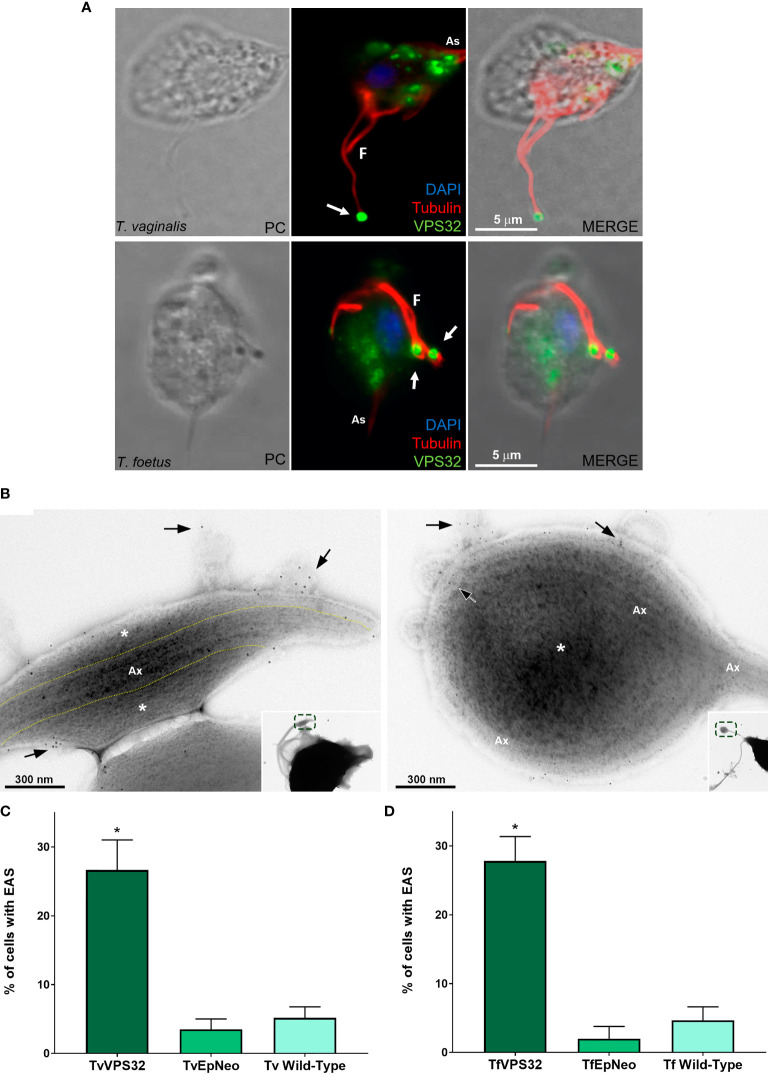 Figure 10