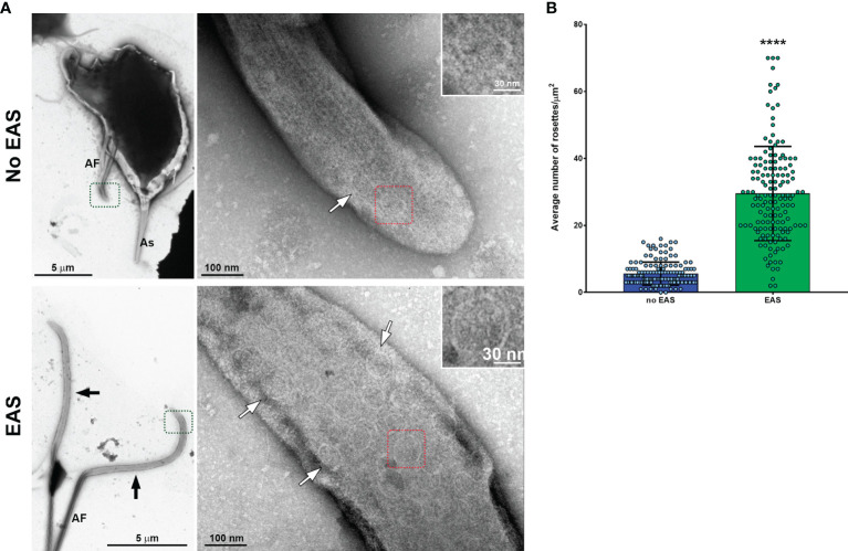 Figure 6