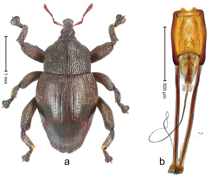 Figure 48.