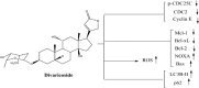 Unlabelled Image