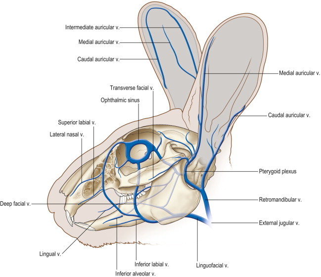 Figure 1.17