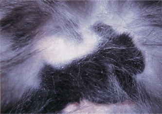 Figure 1.9
