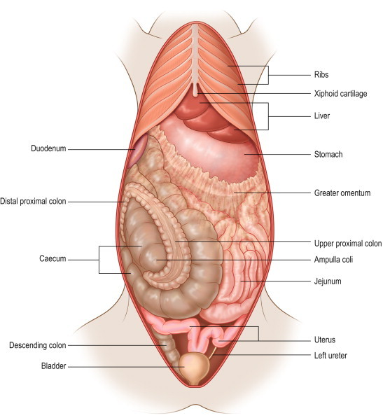 Figure 1.13