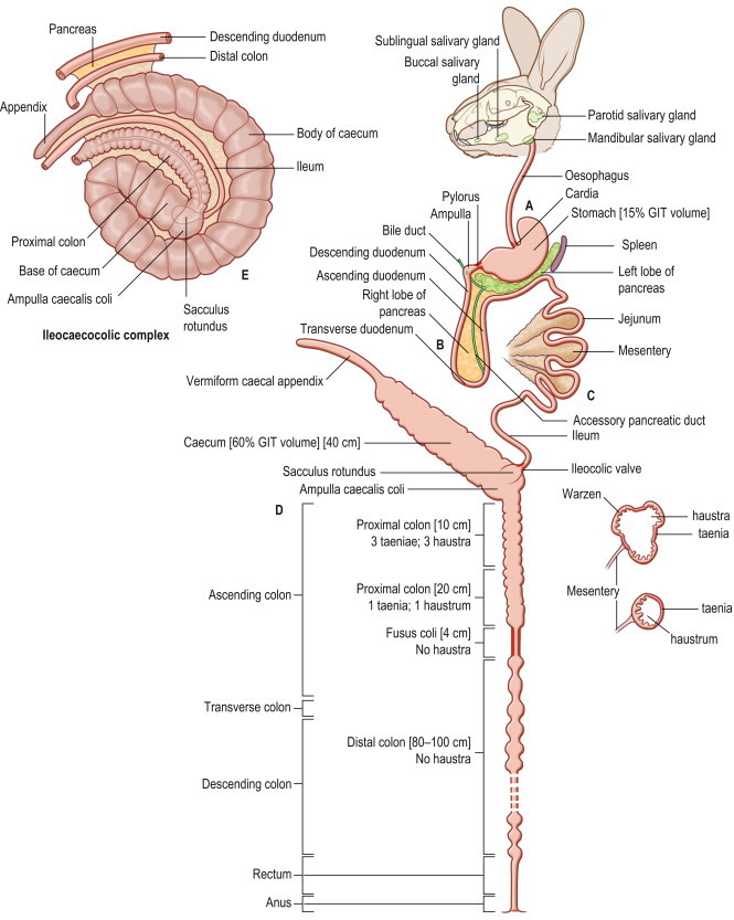 Figure 1.3