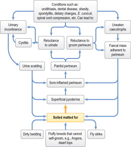 Figure 1.12