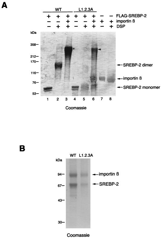 FIG. 6