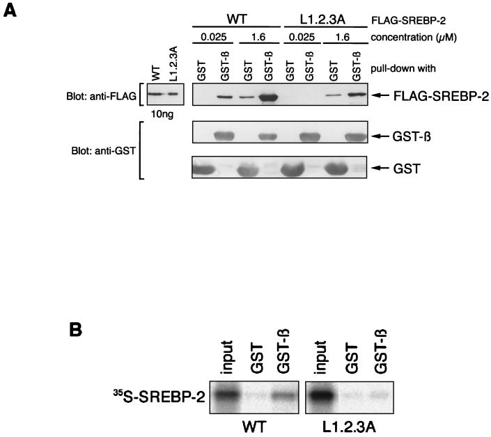 FIG. 4