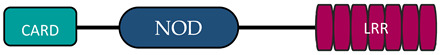 graphic file with name vaccines-10-01487-i003.jpg