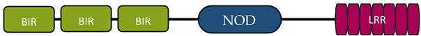graphic file with name vaccines-10-01487-i002.jpg