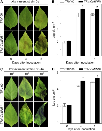 Figure 6.