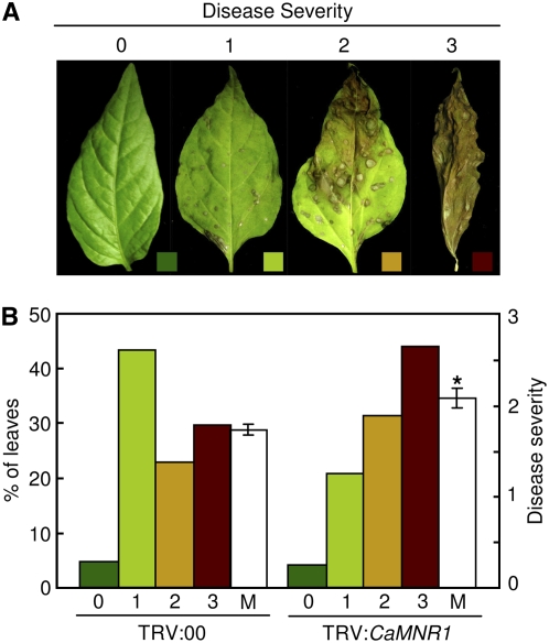 Figure 7.