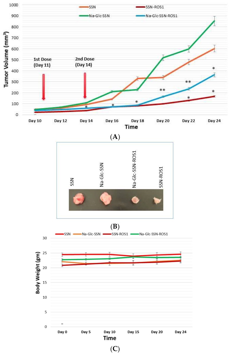 Figure 17