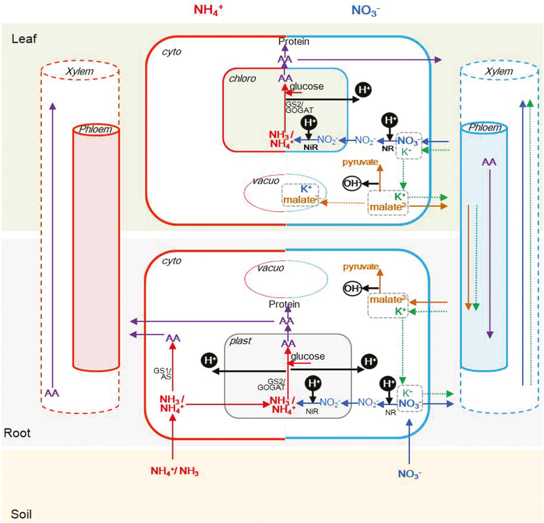 Fig. 3.