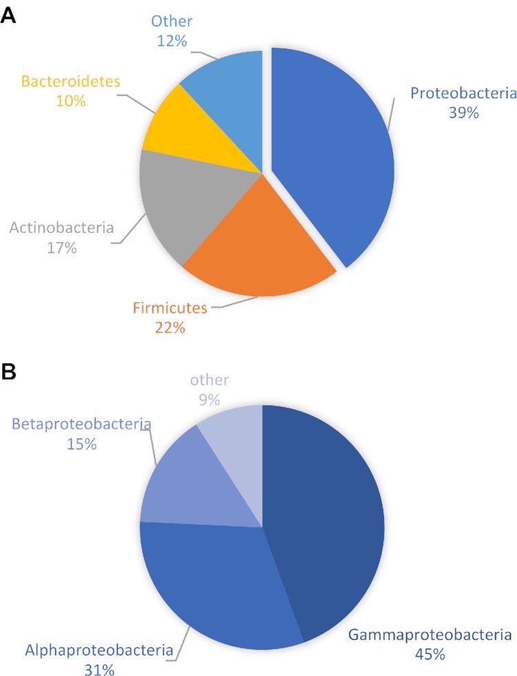 Figure 6: