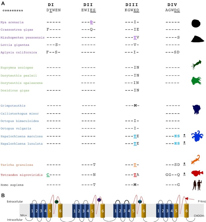 Figure 5: