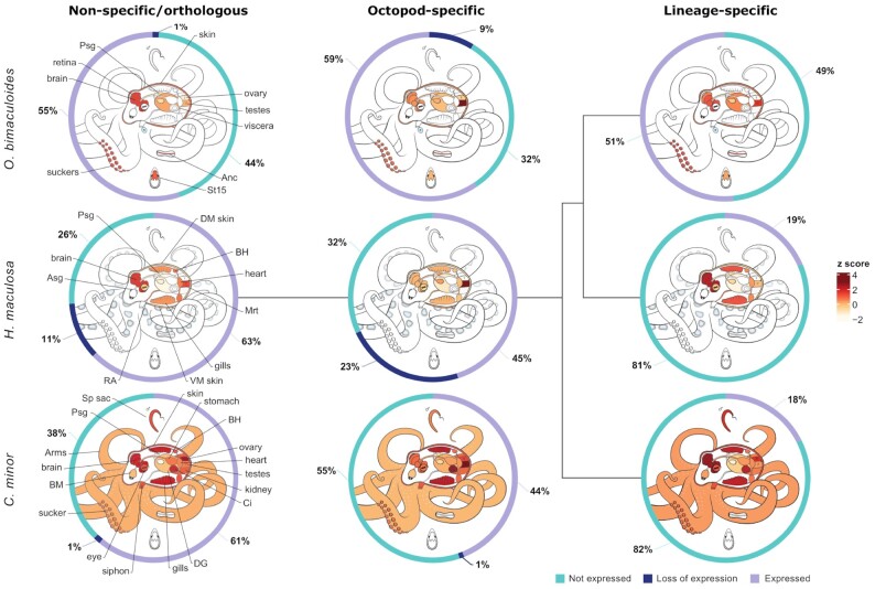 Figure 2: