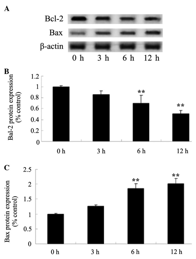 Figure 6.