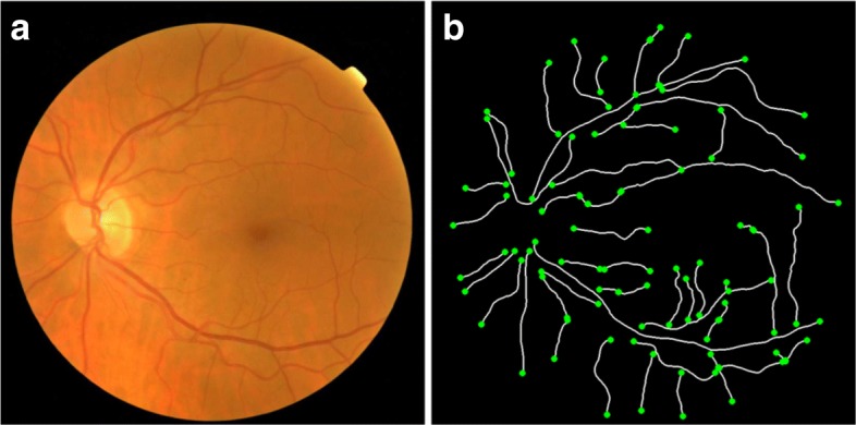 Fig. 2