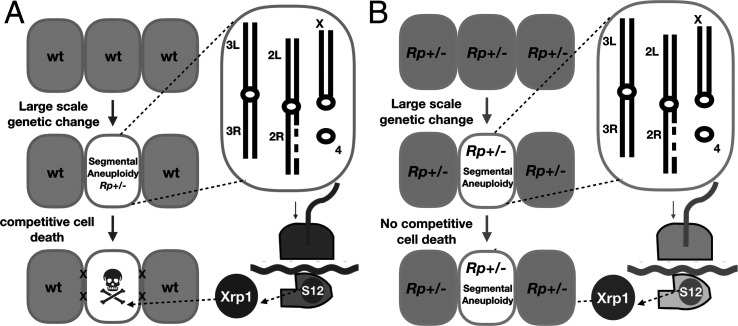 Figure 11.