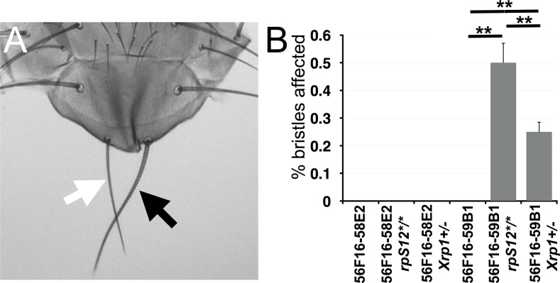 Figure 10.