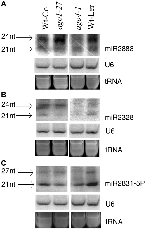 Figure 2.