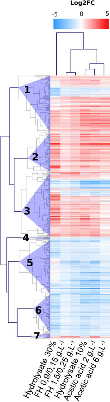 Fig. 6