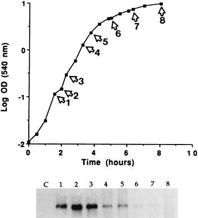 FIG. 6