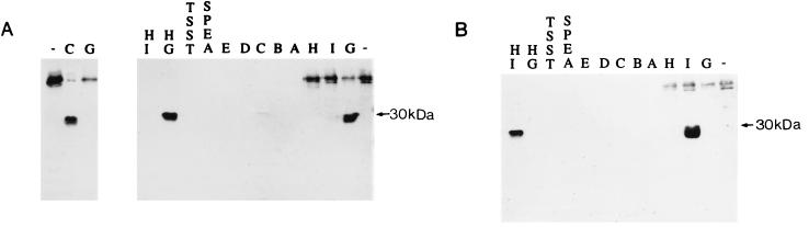 FIG. 10