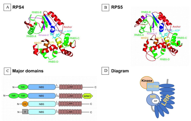 Figure 5