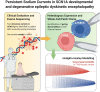 Graphical Abstract