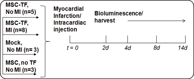 Figure 1d: