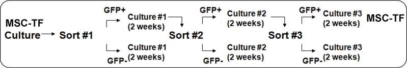 Figure 1c: