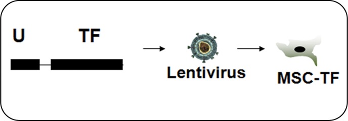 Figure 1b: