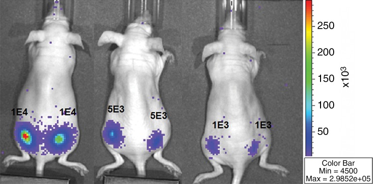 Figure 4a: