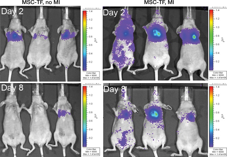 Figure 4c: