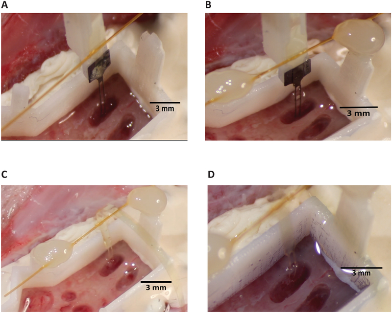 Figure 7: