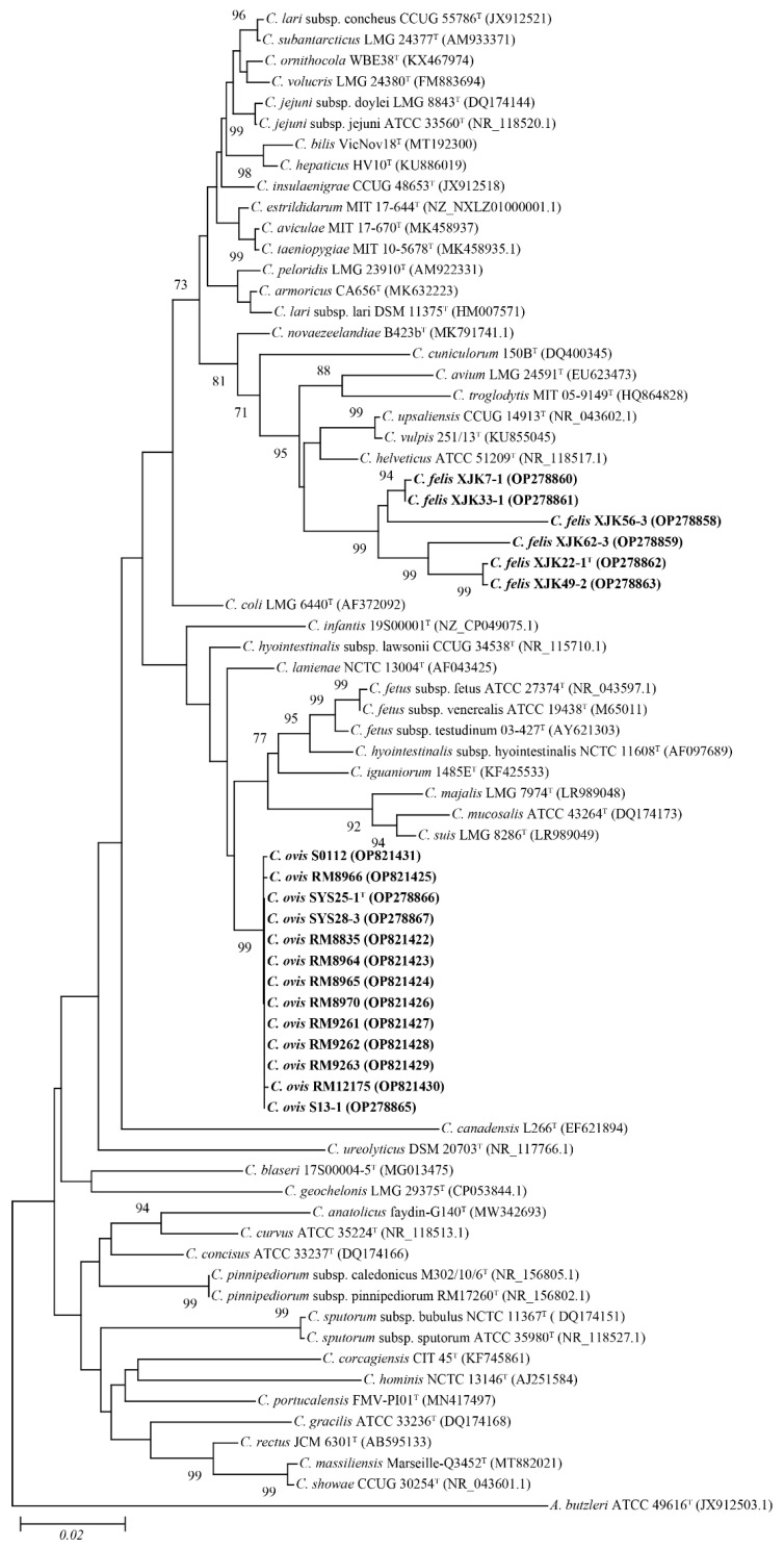 Figure 2