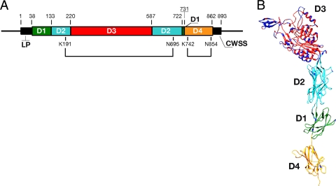 FIG. 1.