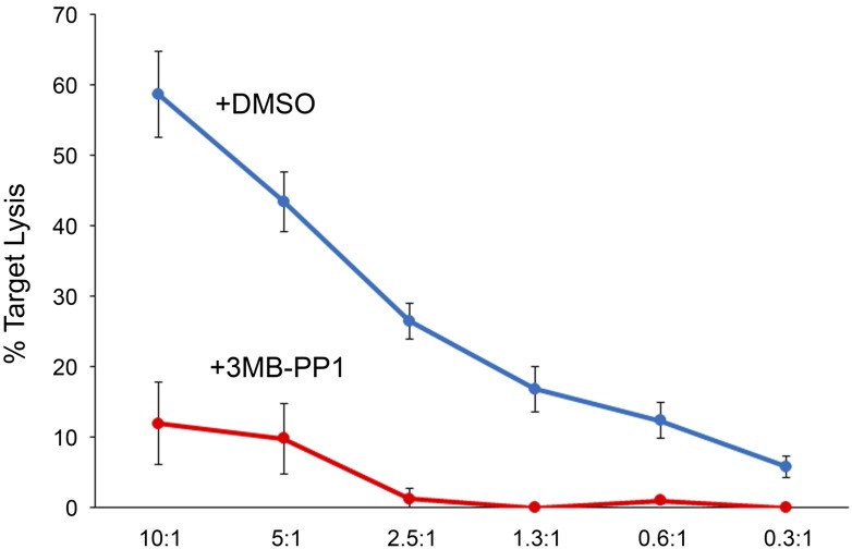 Figure 6—figure supplement 1.